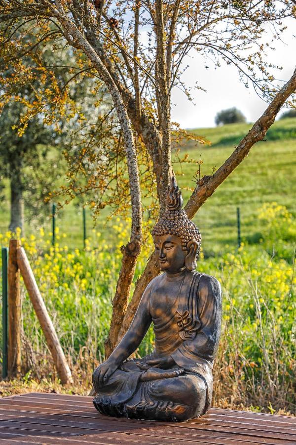 Glamping Turquesa, Feel And Relax In A Wood House Konuk evi Corredoura Dış mekan fotoğraf