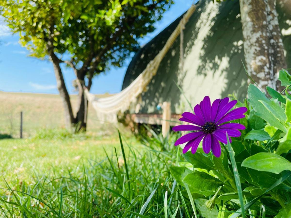 Glamping Turquesa, Feel And Relax In A Wood House Konuk evi Corredoura Dış mekan fotoğraf